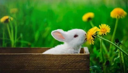 欧冠-北京国安新帅:将带着对胜利的渴望出发